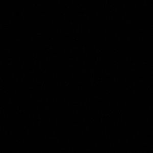 Meet your Posher, Maya